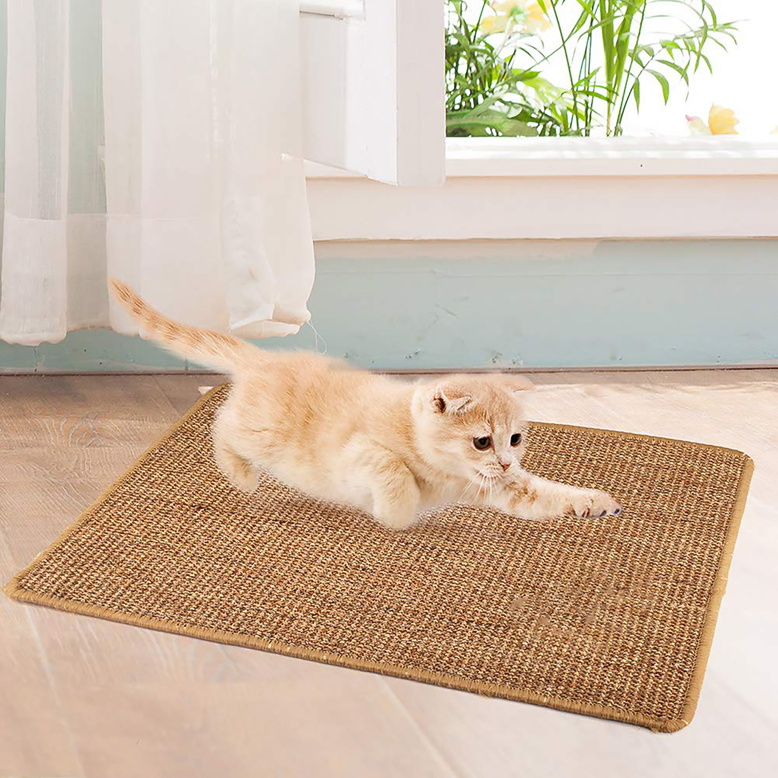 Verdelife Cat Scratching Mat Xl 40a 60cm Cat Grinding Claws Toys Protect Carpets And Sofas S M L Xl Natural Sisal Scratch Cat Pad Cats Pet Supplies Chefhouseresort Com Np Verdelife Cat Scratching Mat Xl 40a 60cm Cat Grinding Claws Toys Protect Carpets And Sofas S M L Xl Natural Sisal Scratch Cat Pad Cats Pet Supplies Chefhouseresort Com Np